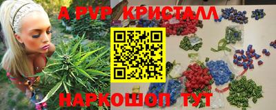 спиды Заводоуковск