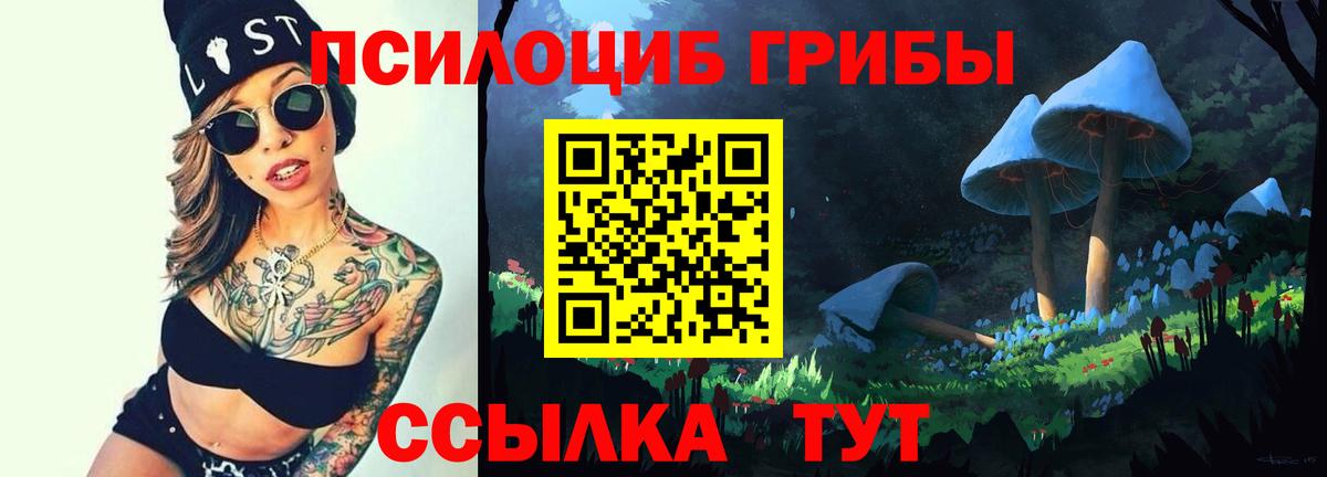 Псилоцибиновые грибы Psilocybine cubensis  Галлюциногенные грибы MAGIC MUSHROOMS  Ефремов  Вход с VPN 